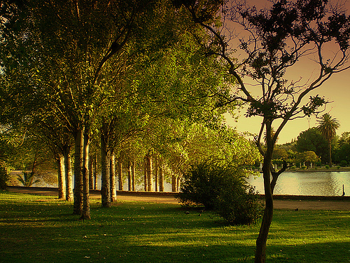 WWF: La protección de la naturaleza representa menos del 0