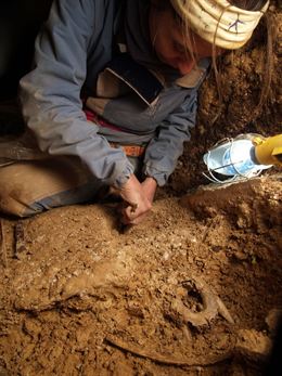 La revista PNAS publica el genoma mitocondrial completo de un oso de hace 400.000 años hallado en Atapuerca (Burgos)