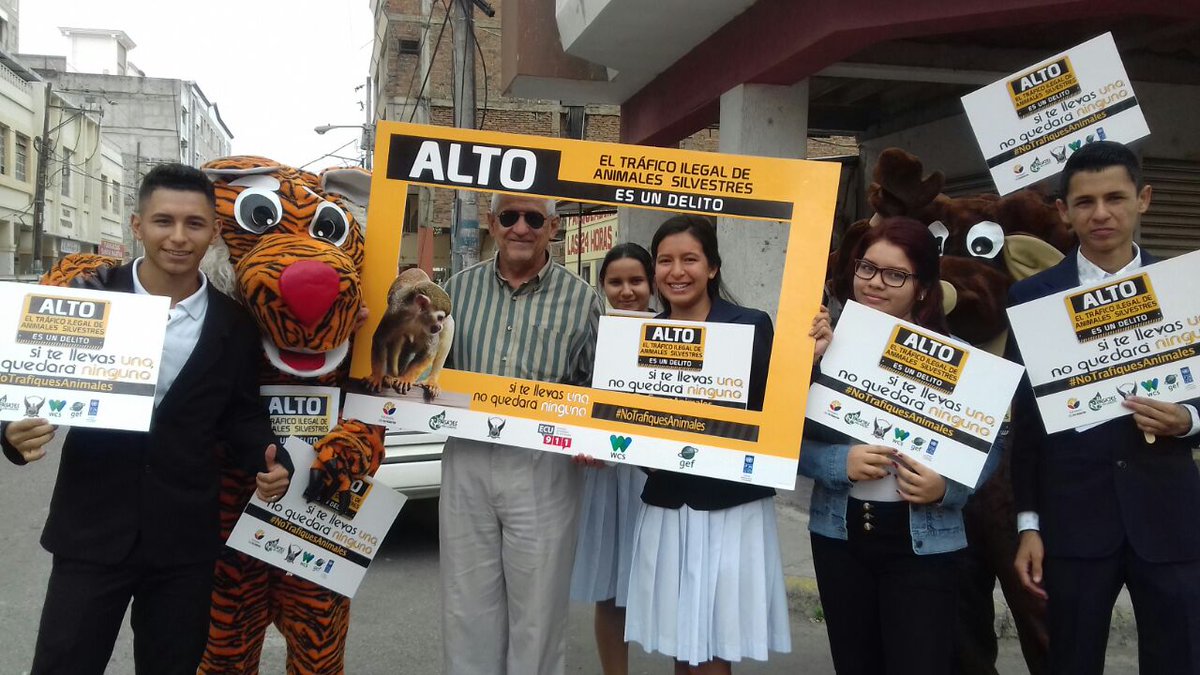 Campaña “Alto