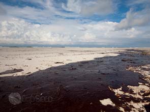 Green groups sue ExxonMobil under Clean Air Act