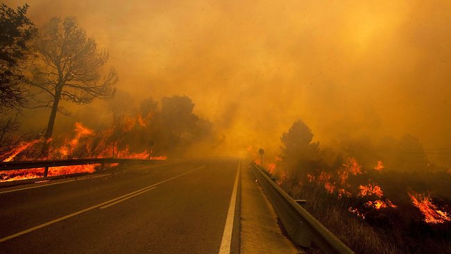 Piden dejar actuar a la naturaleza tras un incendio