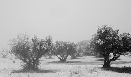 Científicos afirman que el cambio climático sigue su curso a pesar de las imágenes de frío