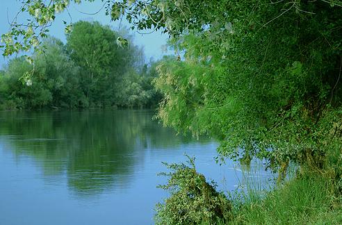 La temperatura del agua de los ríos catalanes subió dos grados en 30 años