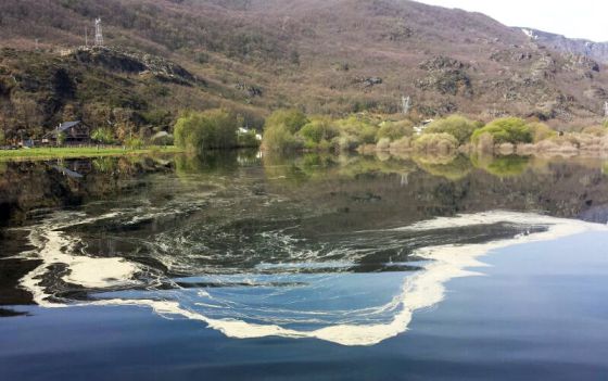 Los vertidos al Lago de Sanabria tienen graves consecuencia ecológicas (Zamora)