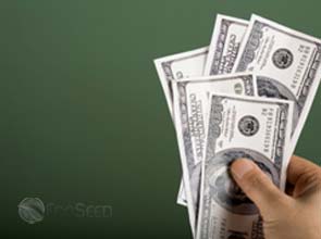 Cash grants more effective than tax credits for R.E. projects – study