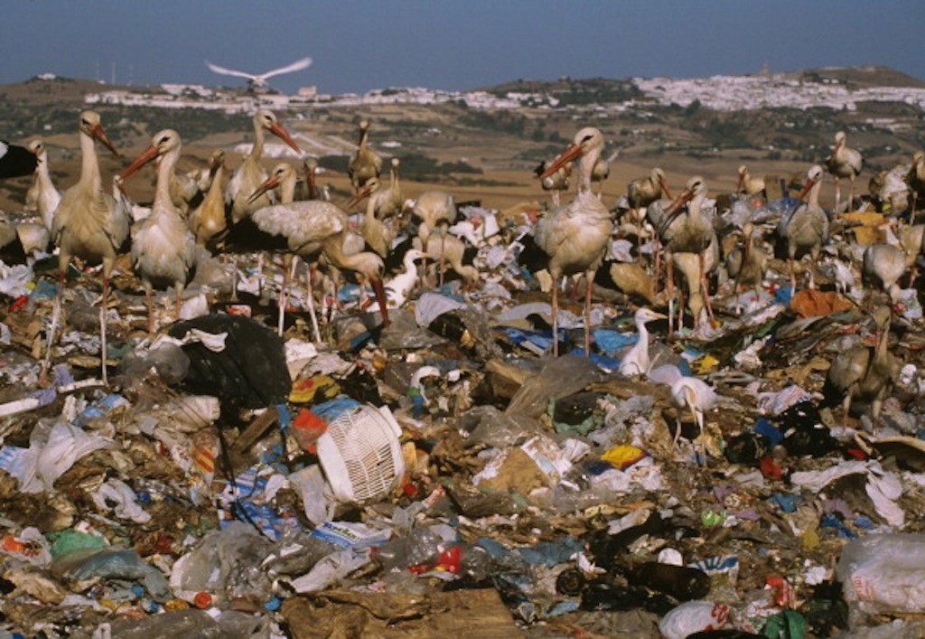 Condena de la UE a España por no eliminar 60 vertederos ilegales