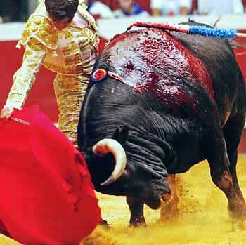 Convocan este domingo una manifestación antitaurina por erradicación del maltrato animal