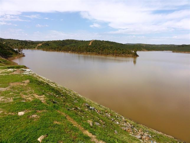 Aznalcóllar ‘arranca’ de nuevo