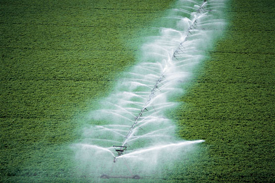 Los regadíos malgastan el doble del agua que necesitan