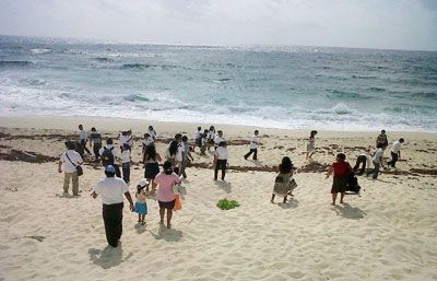 México. Preparan área de playas para recibir a las tortugas marinas