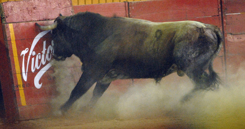 Por una respuesta antitaurina ante la crisis económica