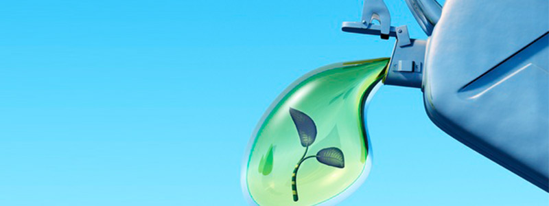Son sustentables los biocombustibles