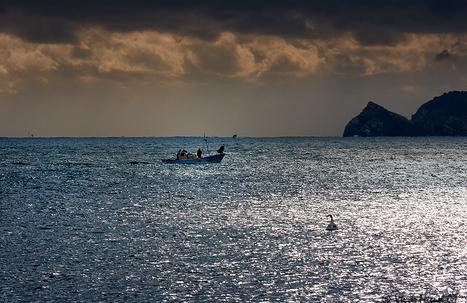 El Gobierno prevé aprobar este viernes la Ley de Protección de Medio Marino para planificar la pesca y proteger el mar