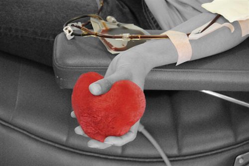 La atención a mayores