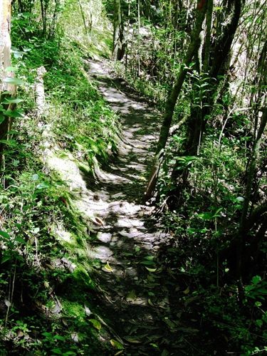 Proyecto Estrateco: tecnología que ayuda al medioambiente