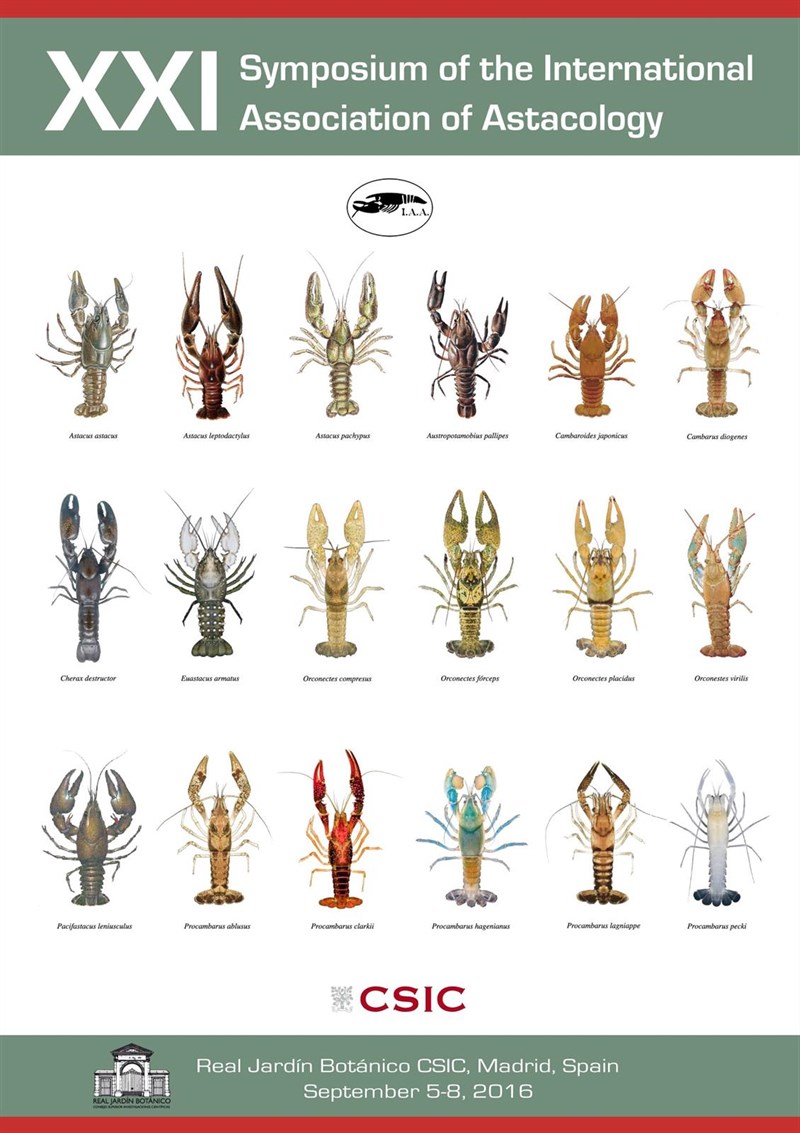 Un simposio internacional aborda desde el lunes en Madrid la situación de los cangrejos de río