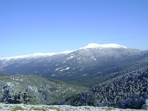 La biodiversidad en los ecosistemas urbanos centra el sexto mensaje de la publicación "10 mensajes para 2010" de la Agencia Europea de Medio Ambiente
