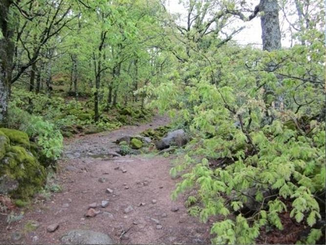Extremadura. La Garganta de los Infiernos tendrá senderos y miradores