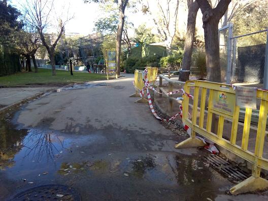 Los ‘líos’ del zoo de Barcelona