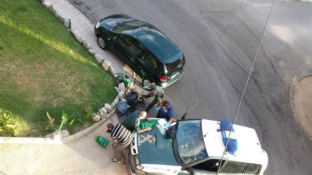 Aparece una veintena de gatos muertos en bolsas de basura en contenedores de Chapinería