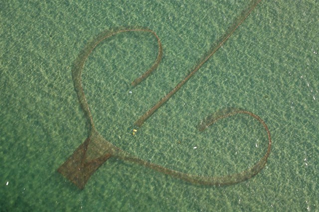 La campaña de pesca tradicional del langostino en el Mar Menor arranca este lunes