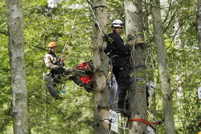 Varios activistas se suben a unos árboles en señal de protesta contra la tala ilegal en Polonia