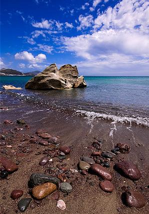 Medio Ambiente confirma la eclosión en Cabo de Gata del 85 % de los huevos de tortuga boba traídos de Cabo Verde