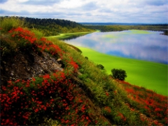 La UE presenta el camino europeo hacia la prosperidad respetando los límites ecológicos del planeta