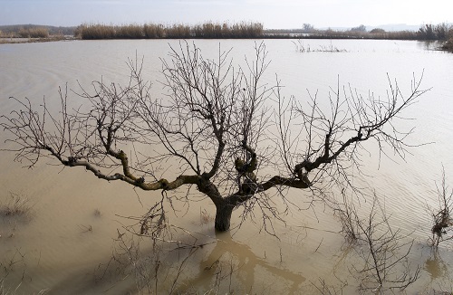 Neiker-Tecnalia participa en el proyecto europeo de capitalización ADAPTACLIMA II: ‘Adaptación al cambio climático en el Espacio Sudoe’
