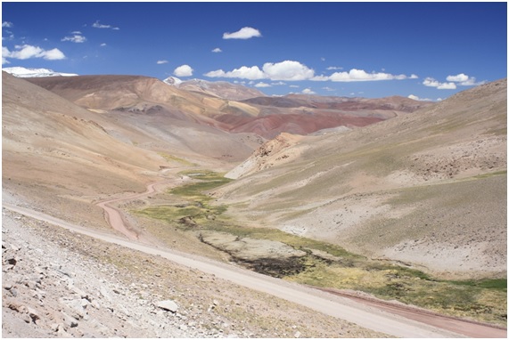 Maricunga en Chile: ni gestión adecuada ni prevención