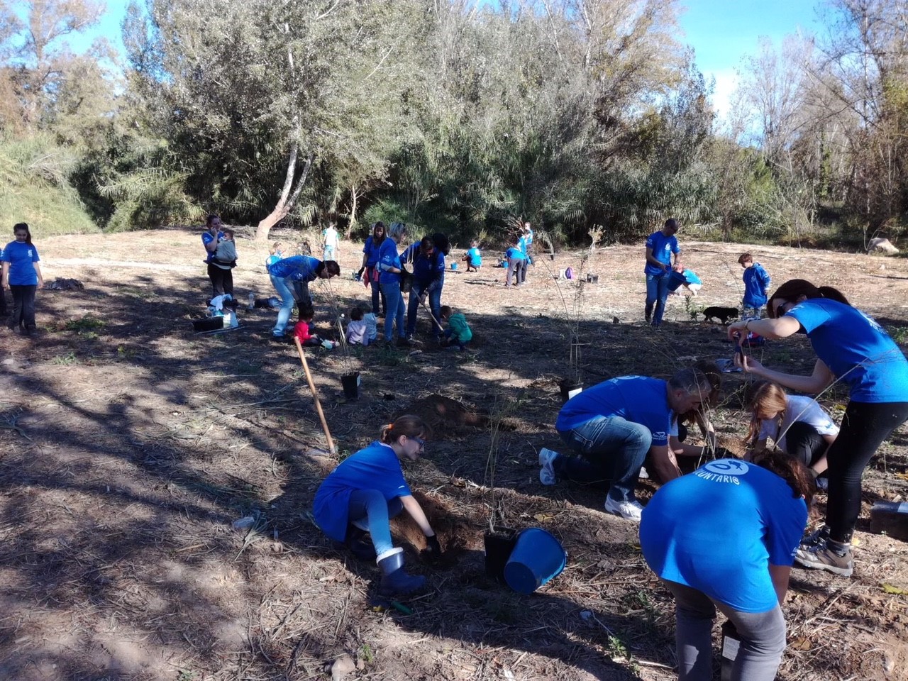 La Fundación Aguas de Valencia repuebla la ribera del Turia con especies vegetales amenazadas de extinción