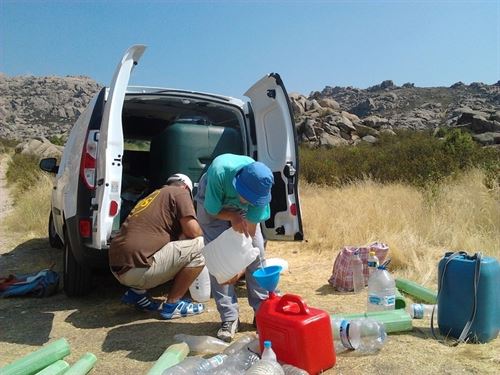 Reforesta: Este verano