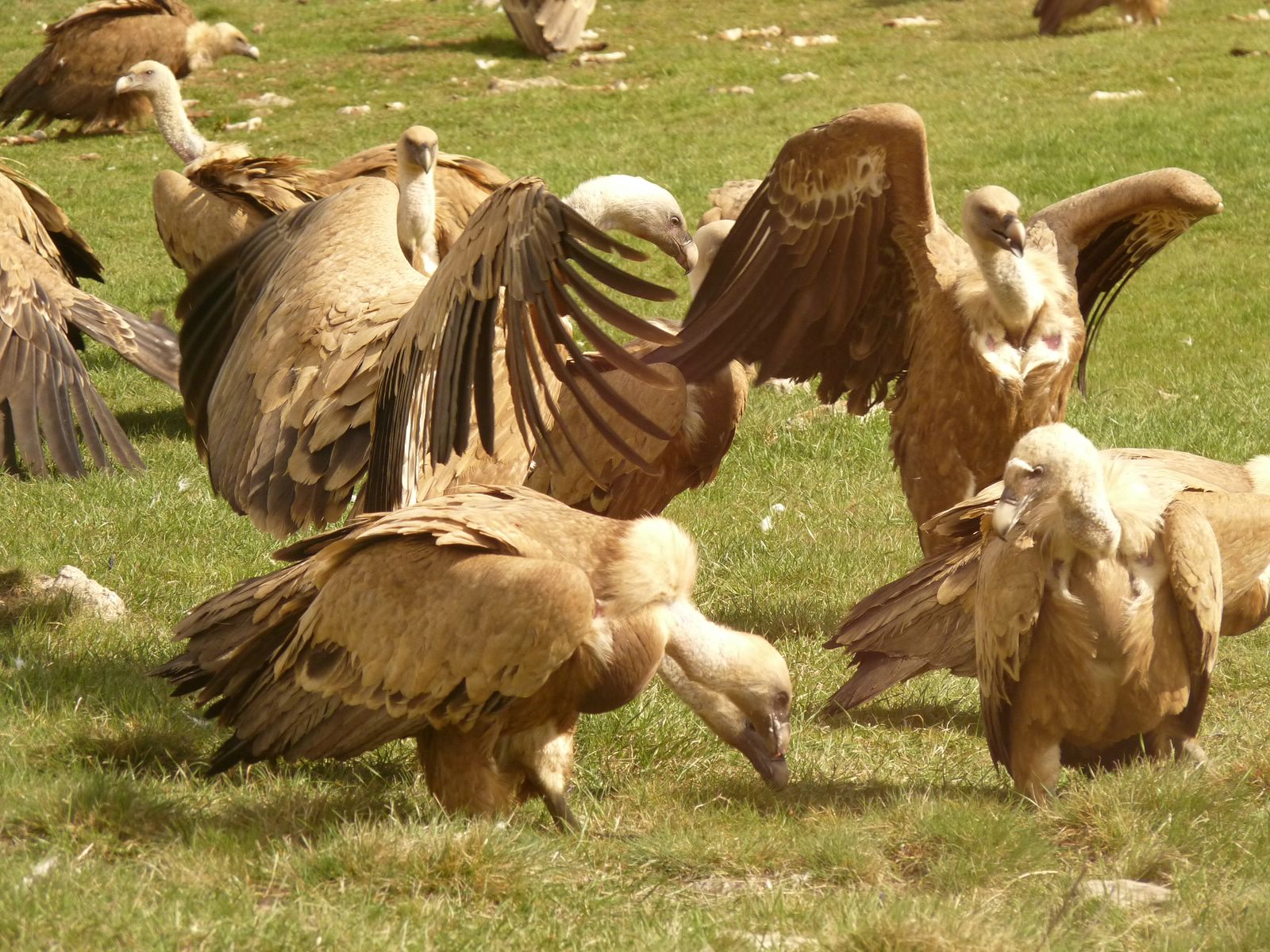 La Coordinadora del Comité Español de la UICN visitó