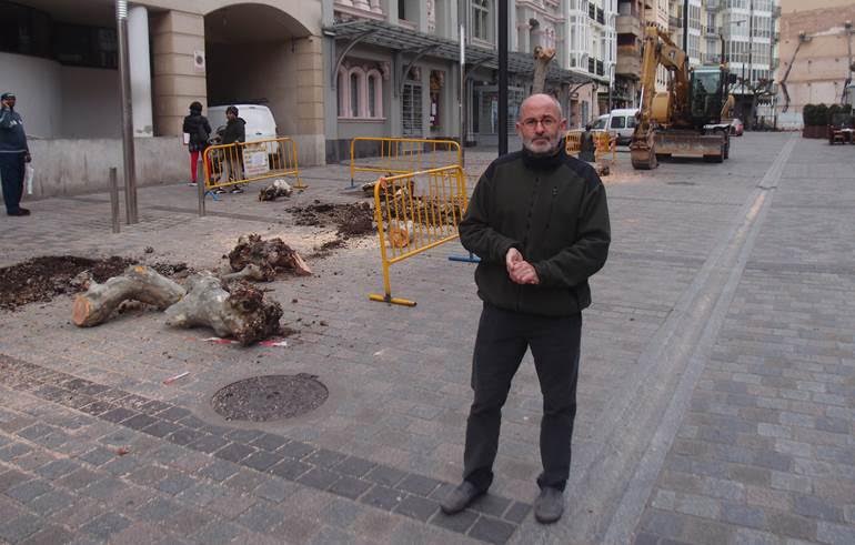 El Ayuntamiento inicia la renovación de arbolado en Bretón de los Herreros