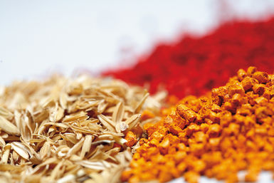 Nuevos biocomposites transformando residuos urbanos y agrícolas para el sector de la construcción