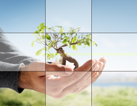 Tu futuro laboral: Sistemas de Gestión Medioambiental