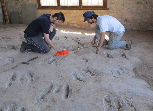 Un reptil bípedo produjo las huellas de Santisteban del Puerto
