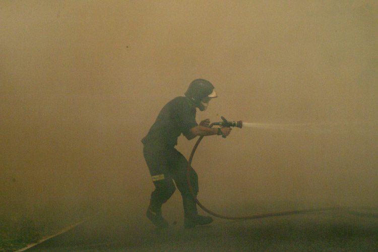 Qué puedes hacer tú ante los incendios forestales