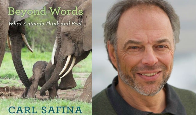 En su libro ‘Mentes Maravillosas’ Carl Safina sostiene que su perro lo ama