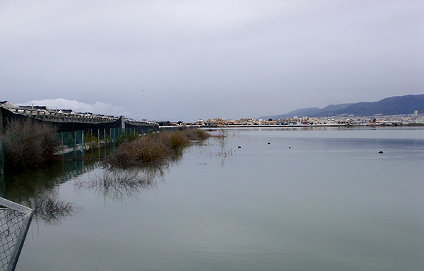 Acuamed recibe 40 proyectos para desarrollar una solución al desagüe de la Balsa del Sapo