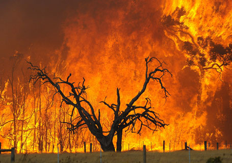 Segovia cobrará la prevención y extinción de incendios forestales