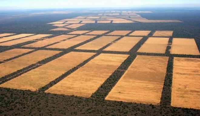 Más 800 millones de hectáreas deforestadas en 2050