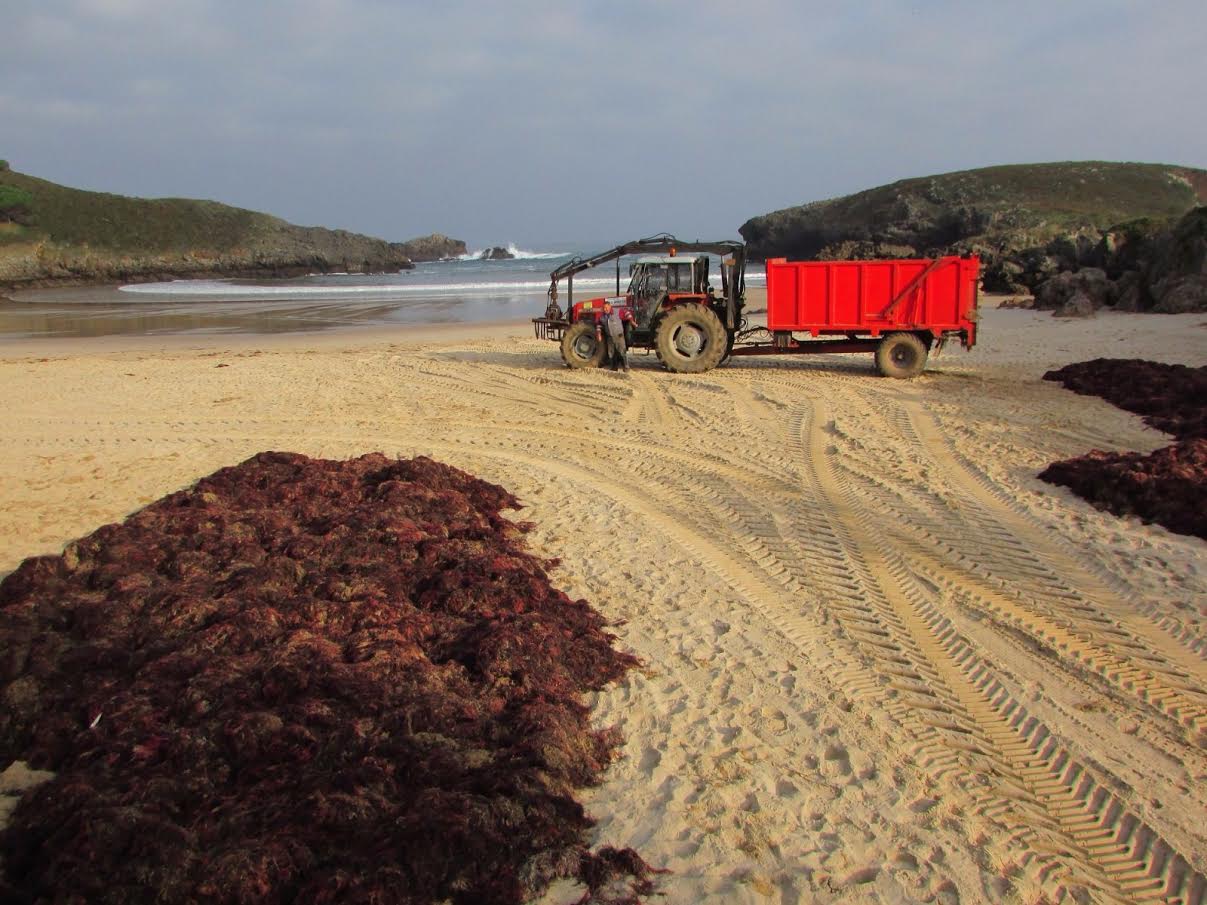 Asturias saca sin consultar el arranque del ocle