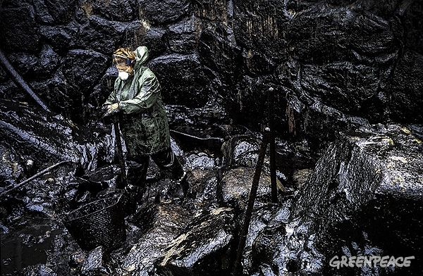 Historias del Prestige: las aves no saben ladrar su rencor