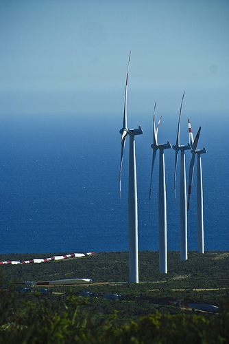 Revilla explicará en el Parlamento la campaña sobre el plan eólico