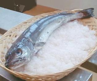 Merluza argentina depredada