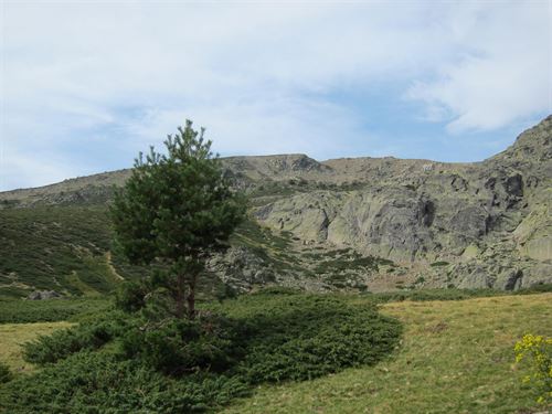 Estudio a fondo de la ‘Sierra del Guadarrama’
