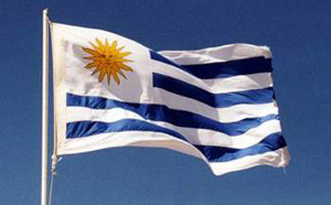 Los socios del ambiente