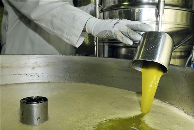 Cooperativas andaluzas participan en proyecto para reducir emisión de gases invernaderos en el olivar