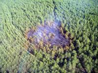 Predecir las tormentas ayudaría a reducir los incendios en Castilla y León